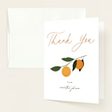 "Little Cutie" - Baby Shower Thank You Cards in Clementine by Stacey Meacham - Front