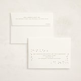"tiny bold sprinkles" - Baby Shower Thank You Cards in Cream by Ellen Schlegelmilch - FREE Recipient Addressing
