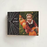 "Web" - Halloween Cards in Night by Morgan Kendall - Folded Card