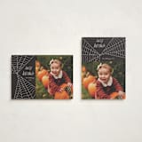 "Web" - Halloween Cards in Night by Morgan Kendall - Photo Orientation Options