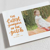 "Cutest Pumpkin" - Halloween Cards in Pumpkin by Little Print Design - Detail
