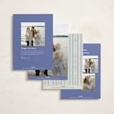 "Delicate botanical frame" - Holiday Cards in Blue Jay by Lucrecia Caporale - Back of Card Options
