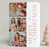 "Dandy Season" - Holiday Cards in Holly Berry by Jessica Williams - Folded Card