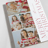 "Dandy Season" - Holiday Cards in Holly Berry by Jessica Williams - Detail