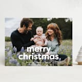 "Simply the cutest" - Holiday Cards in Arctic by Lea Delaveris - Front