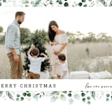 "Eucalyptus Frame" - Holiday Cards in Snow by Melanie Severin - Detail