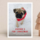 "Furst Christmas" - Holiday Cards in Sleigh Red by Up Up Creative - Front