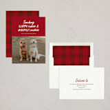 "Dog Wishes" - Holiday Cards in Cardinal by Ekko Studio - Assembled