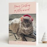 "Meowy Christmas" - Holiday Cards in Rose Cheeks by Lisa McLean - Folded Card