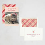 "Meowy Christmas" - Holiday Cards in Rose Cheeks by Lisa McLean - Assembled