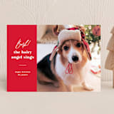 "Barking holiday" - Holiday Cards in Santa Suit by Creo Study - Front