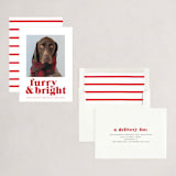 "Furry + Bright" - Holiday Cards in Cranberry by Angela Thompson - Assembled