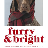 "Furry + Bright" - Holiday Cards in Cranberry by Angela Thompson - Detail