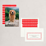"It's a Wonder-FUR Life" - Holiday Cards in Snow by Sandra Picco Design - Assembled