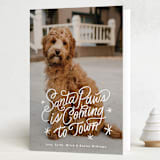 "Santa Paws is Coming to Town" - Holiday Cards in Snow by Becky Nimoy - Folded Card