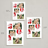"Botanical Joy" - Holiday Cards in Candy Cane by Shari Margolin - Formats Available