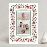 "Poinsettia Border" - Holiday Cards in Poinsettia by Wildfield Paper Co - Front