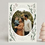 "Delicate Winter Frame" - Holiday Cards in Vanilla by Emily Sabol Goss - Front