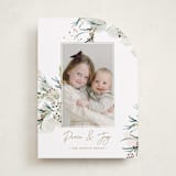 "Tossed" - Holiday Cards in Sage by Eve Schultz - Front