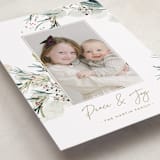 "Tossed" - Holiday Cards in Sage by Eve Schultz - Detail