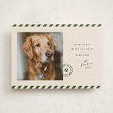 "Mostly Good" - Holiday Cards in Forest by Roxy Cervantes - Front