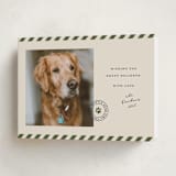 "Mostly Good" - Holiday Cards in Forest by Roxy Cervantes - Folded Card
