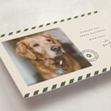 "Mostly Good" - Holiday Cards in Forest by Roxy Cervantes - Detail