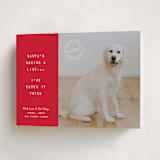 "NAUGHTY HOLIDAY DOG" - Holiday Cards in Holly by The Social Type - Folded Card