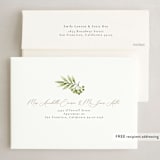 "Painted Greenery" - Holiday Cards in Snowfall by frau brandt - FREE Recipient Addressing