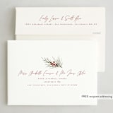 "Holly + Laurel" - Holiday Cards in Eucalyptus by Wildfield Paper Co - FREE Recipient Addressing