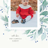 "Flourishing" - Holiday Cards in Juniper by Paper Raven Co. - Detail