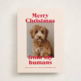 "Happy Howlidays" - Holiday Cards in Cherry by Annie Clark - Front