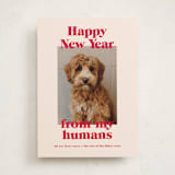 "Happy Howlidays" - Holiday Cards in Cherry by Annie Clark - Front