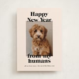 "Happy Howlidays" - Holiday Cards in Sugar Cookies by Annie Clark - Front