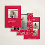 "Happy Howlidays" - Holiday Cards in Cherry by Annie Clark - Back of Card Options