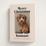 "Happy Howlidays" - Holiday Cards in Sugar Cookies by Annie Clark - Folded Card