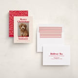 "Happy Howlidays" - Holiday Cards in Cherry by Annie Clark - Assembled