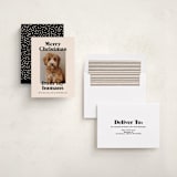 "Happy Howlidays" - Holiday Cards in Sugar Cookies by Annie Clark - Assembled