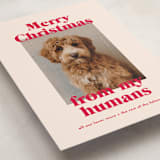 "Happy Howlidays" - Holiday Cards in Cherry by Annie Clark - Detail
