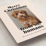 "Happy Howlidays" - Holiday Cards in Sugar Cookies by Annie Clark - Detail