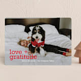 "holiday gratitude" - Holiday Cards in Holly by Mango Ink - Front