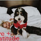 "holiday gratitude" - Holiday Cards in Holly by Mango Ink - Detail