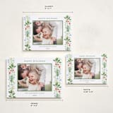 "Wintergarden" - Holiday Cards in Evergreen by Sarah Knight - Formats Available