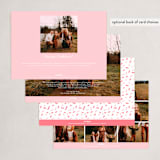 "Icing border" - Holiday Cards in Peppermint by Beth Murphy - Back of Card Options