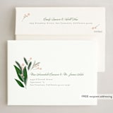 "Fir and Berries" - Holiday Cards in Powder by Danie Romrell - FREE Recipient Addressing