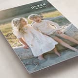 "Emblem" - Holiday Cards in Snow by Amy Kross - Detail