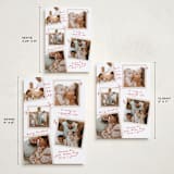 "Personal Note" - Holiday Cards in Poinsettia by Owl and Toad - Formats Available