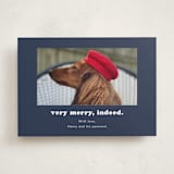 "Indeed" - Holiday Cards in Midnight by Kristen Knechtel - Front