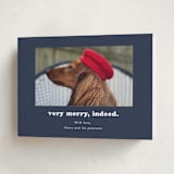 "Indeed" - Holiday Cards in Midnight by Kristen Knechtel - Folded Card