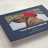 "Indeed" - Holiday Cards in Midnight by Kristen Knechtel - Detail